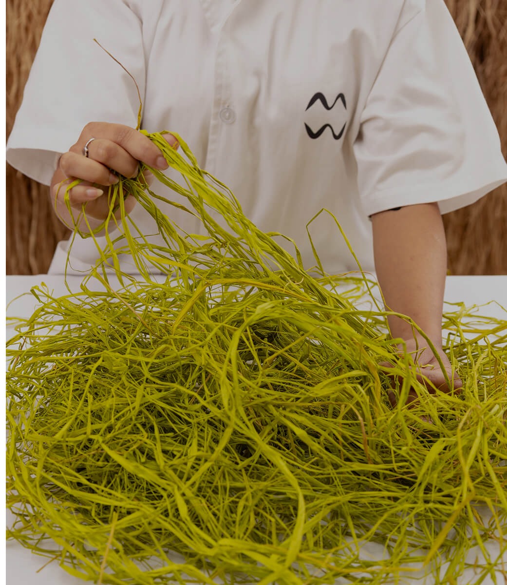 Raphia fibers